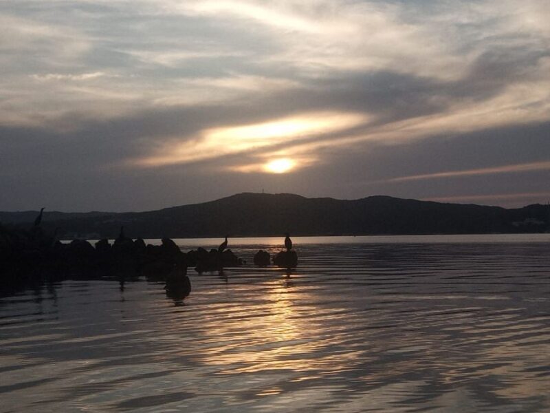 Fornells Bay: Sunset Kayak Tour From Ses Salines, Menorca. - Customer Feedback