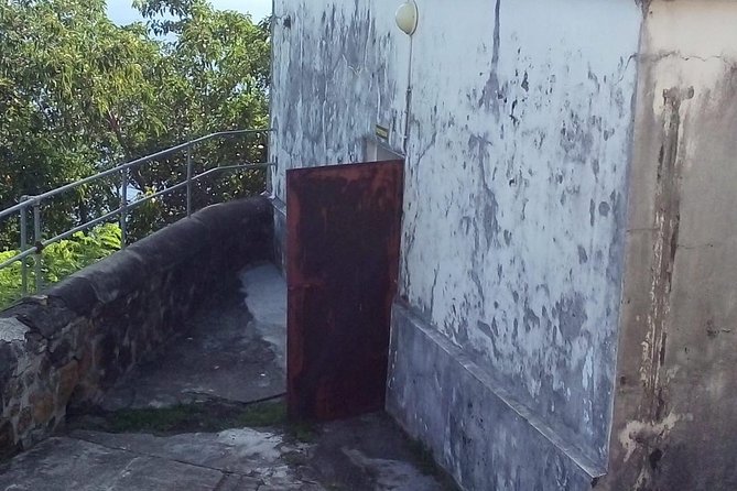 Fort Charlotte, Botanical Gardens and Kingstown Tours With Detention Tours - Included in the Tour