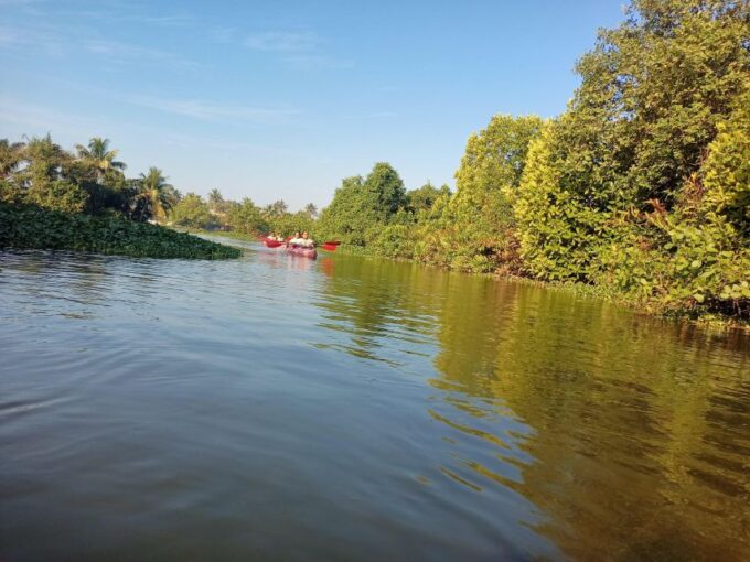 Fort Kochi Sightseeing on Tuk Tuk / Car & Backwater Kayaking - Guide Information