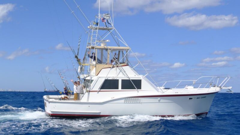 Fort Lauderdale: 4-Hour Sport Fishing Shared Charter - Target Species