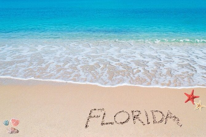 Fort Lauderdale Airport Private Transfer to Port Everglades - Customer Feedback and Ratings