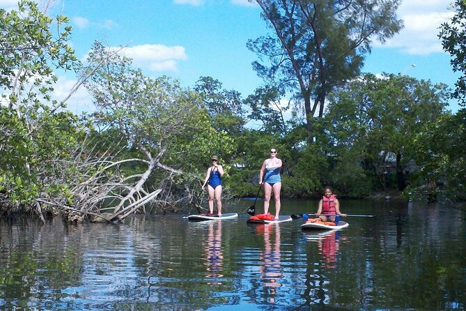 Fort Lauderdale Bonnet House Ground and Guided Paddle Board Kayak - Activity Details