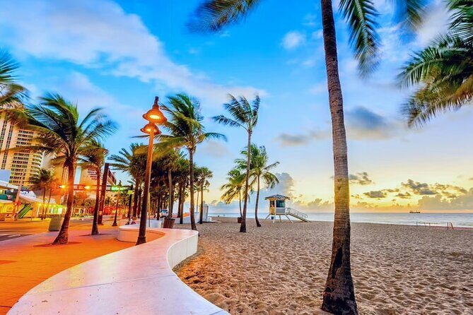 Fort Lauderdale: FLL Airport to City Centre | Port Everglades - What to Expect from the Service
