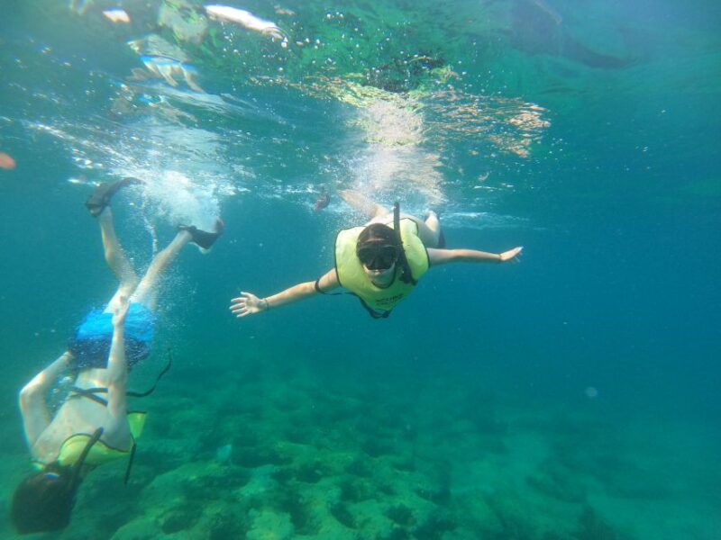 Fort Lauderdale: Guided Snorkeling Reef Tour and Lesson - Equipment and Safety