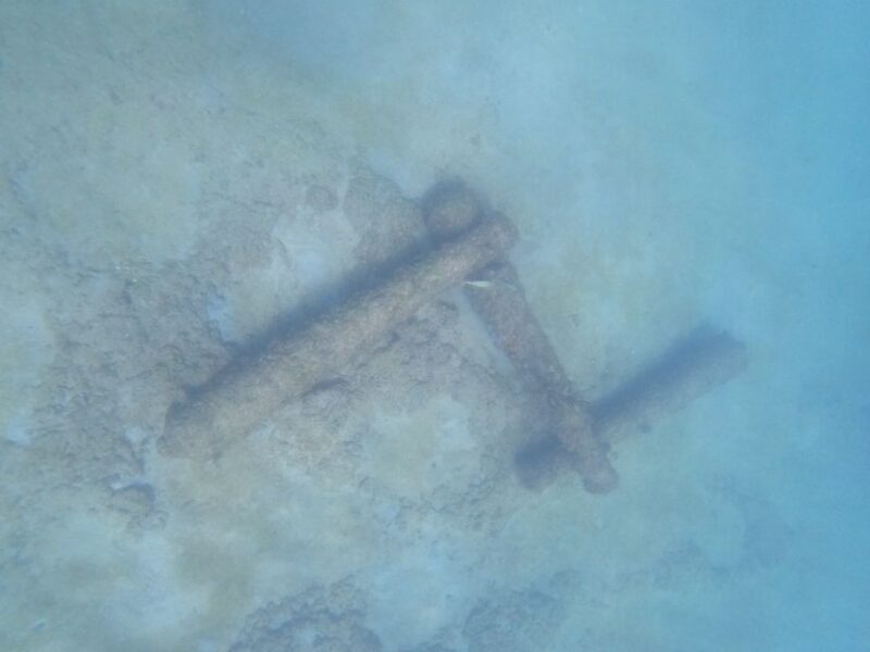 Fort Lauderdale: Guided Snorkeling Reef Tour and Lesson - Scenic Shore Locations