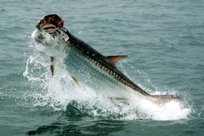 Fort Lauderdale Inshore Fishing Charters - Overview of the Experience
