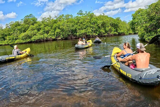 Fort Lauderdale: Kayak and Paddleboard Mangroves Eco Adventure - Who Will Love This Experience?