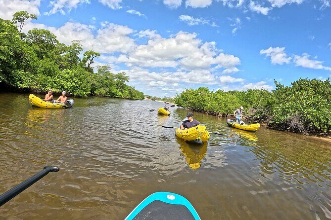 Fort Lauderdale: Kayak and Paddleboard Mangroves Eco Adventure - Final Thoughts: Is It Worth It?