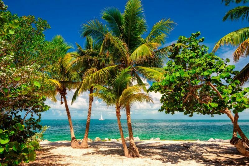 Fort Lauderdale: Key West Day Trip with Optional Activities - The Value of Free Time and Flexibility