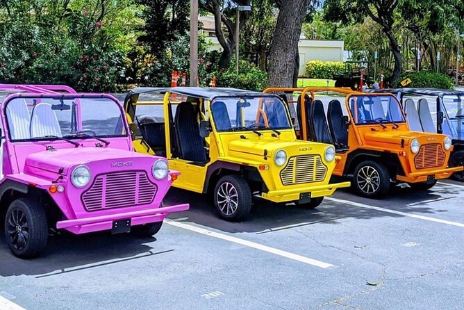 Fort Lauderdale Moke Rentals - Accessibility and Participation