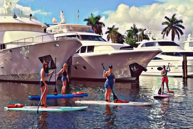 Fort Lauderdale Paddle Board Rentals. - Complimentary Photos and Videos