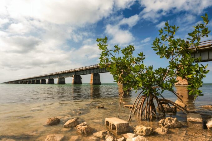 Fort Lauderdale to Key West Day Trip - Preparation Recommendations