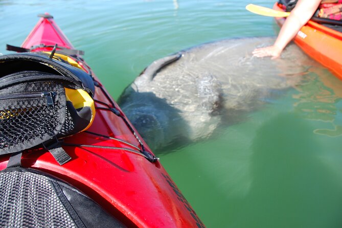 Fort Lauderdale's Tropical Kayak Tour and Island Adventure - Tour Details