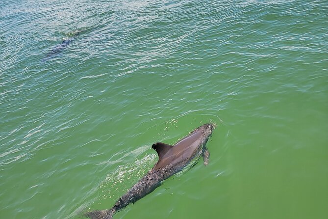 Fort Myers Beach Sunset Excursion - Engaging and Informative Crew