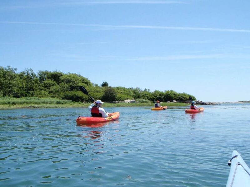 Fort Myers: Guided Kayak or SUP Tour in Pelican Bay - Included Equipment