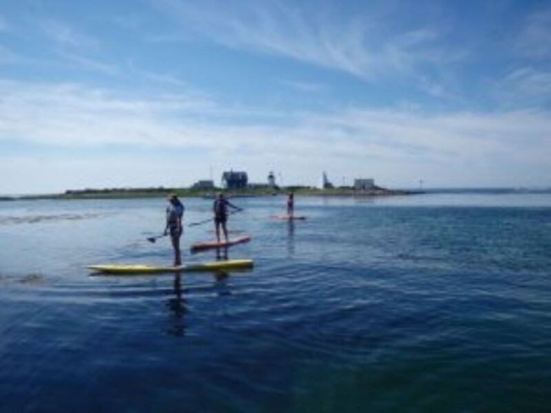 Fort Myers: Guided Kayak or SUP Tour in Pelican Bay - Participant Guidelines