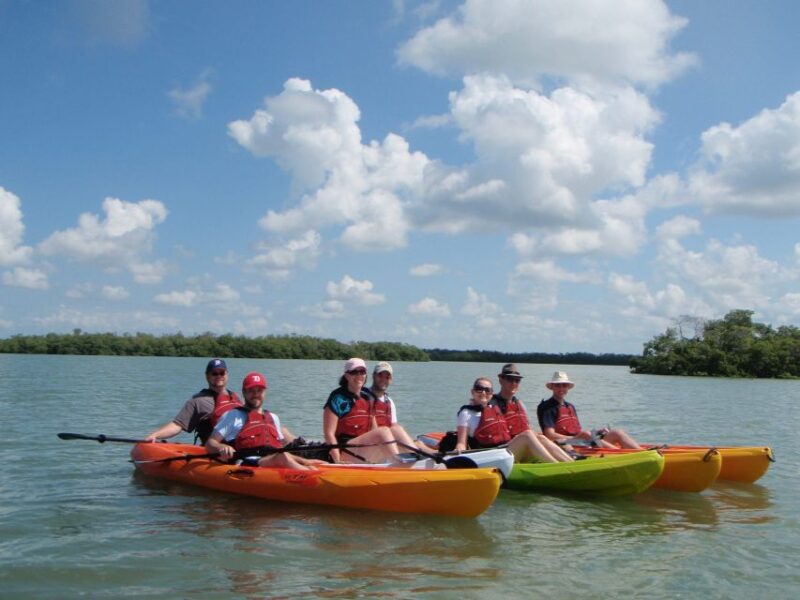 Fort Myers: Guided Kayaking Eco Tour in Pelican Bay - Kayaking Gear and Inclusions
