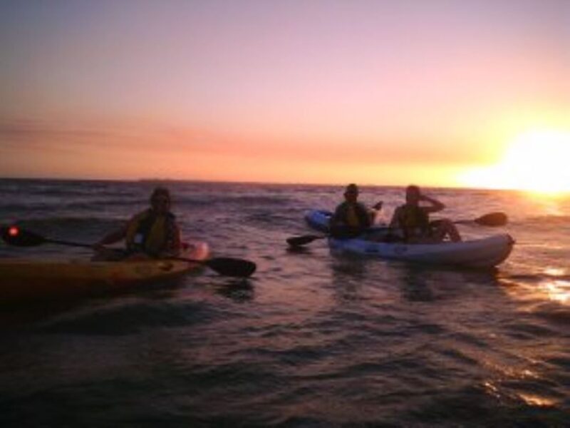 Fort Myers: Guided Sunset Kayaking Tour Through Pelican Bay - Experience Highlights