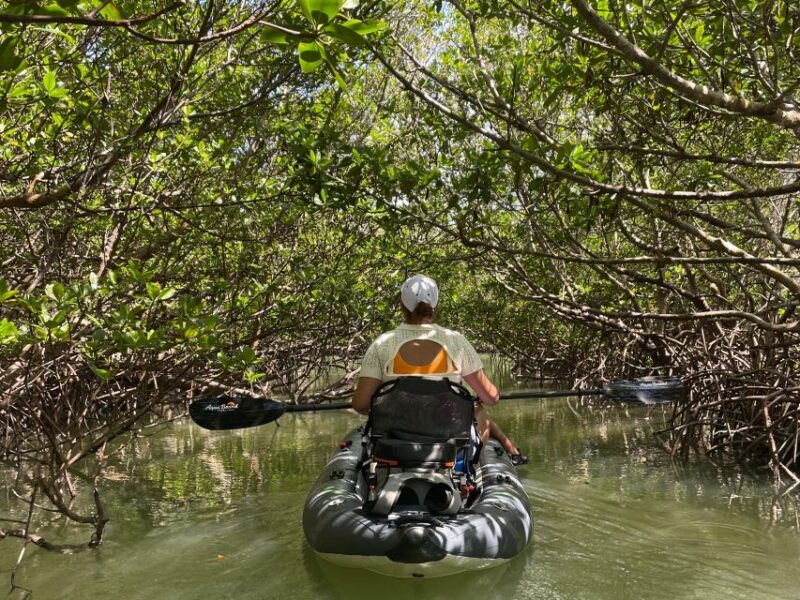 Fort Pierce: 2-hr Jungle Tour at Prehistoric Preserve in FL - Discovering Diverse Marine Life