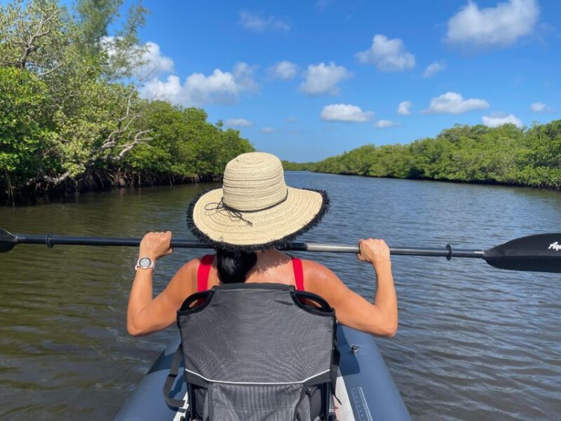 Fort Pierce: 4-hr Mangroves & Dolphin Watch Sandbar in FL - Duration and Pricing Details