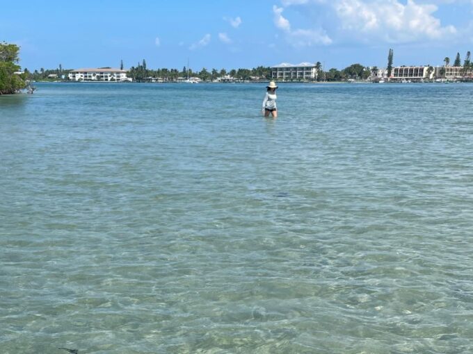 Fort Pierce: 4-hr Mangroves & Dolphin Watch Sandbar in FL - Equipment and Inclusions