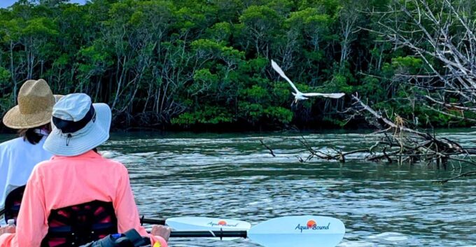 Fort Pierce: 4-hr Mangroves & Dolphin Watch Sandbar in FL - Customer Feedback