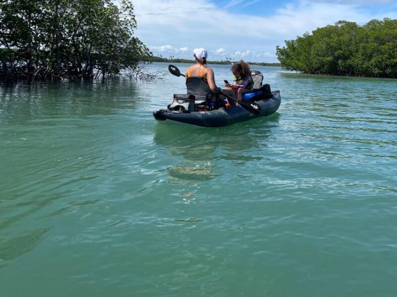 Fort Pierce: 6-hr Mangroves, Coastal Rivers & Wildlife in FL - Included Equipment