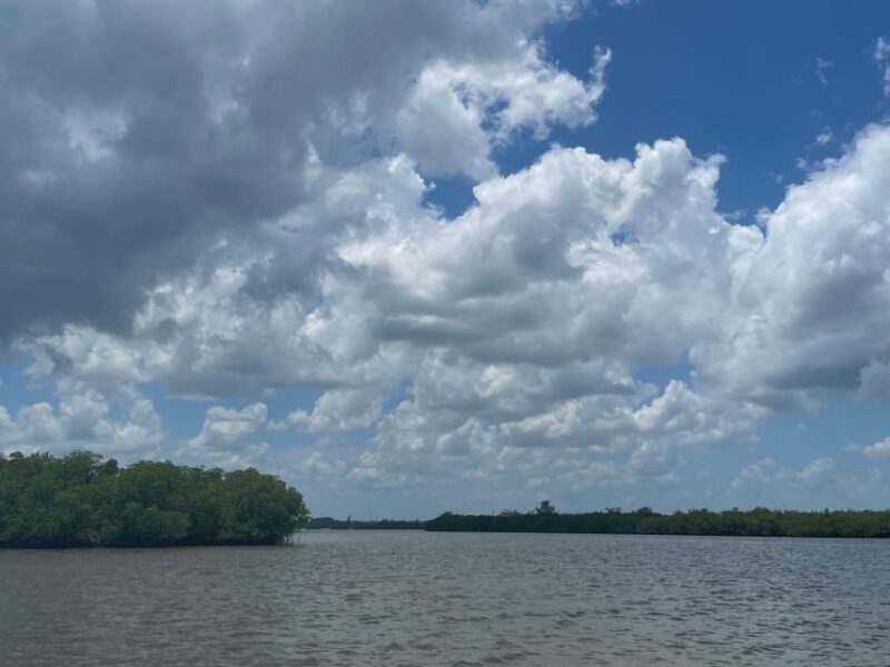 Fort Pierce: 6-hr Mangroves, Coastal Rivers & Wildlife in FL - Preparation and What to Bring