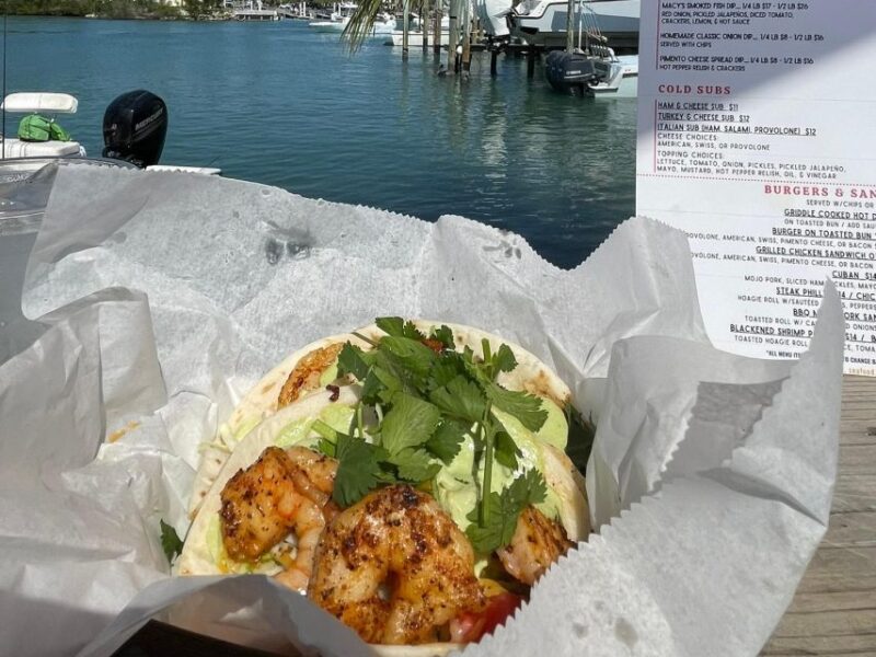 Fort Pierce: 8-Hr Jungle and Lagoon Passage to Ocean in FL - Unique Experience