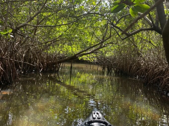 Fort Pierce: 8-Hr Jungle and Lagoon Passage to Ocean in FL - Accessibility and Limitations