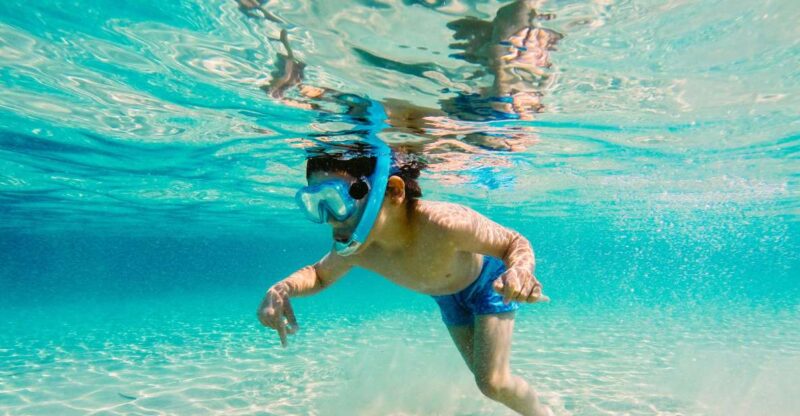 Fort Walton Beach: Morning Dolphin Cruise With Snorkel Stop - Key Points