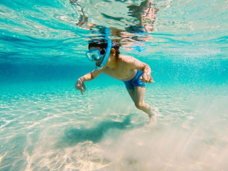 Fort Walton Beach: Morning Dolphin Cruise With Snorkel Stop - Inclusions and Costs