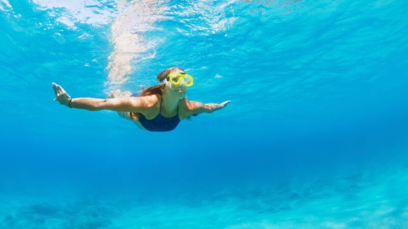 Fort Walton Beach: Morning Dolphin Cruise With Snorkel Stop - Booking and Reservations