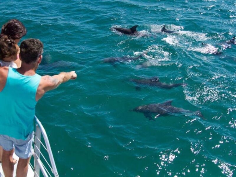 Fort Walton: Dolphin Discovery and Snorkeling Cruise - Experience Highlights