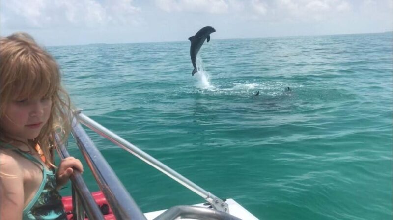 Fort Walton: Dolphin Discovery and Snorkeling Cruise - Included Features