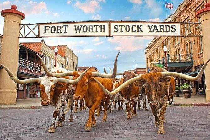 Fort Worth Highlights, Billy Bob's & John Wayne Day Tour - Discovering John Wayne Legacy