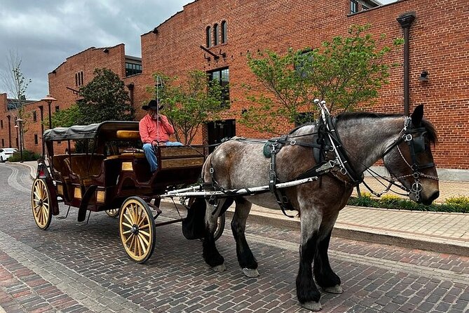 Fort Worth Highlights & Southfork Ranch Combo Tour - Inclusions and Exclusions