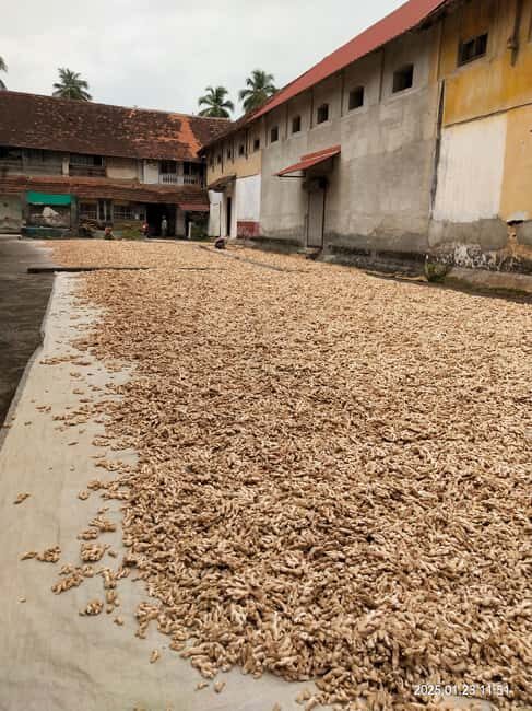 Fortkochi Heritage Walking tour with a local guide - Final Thoughts: Is This Tour Right for You?