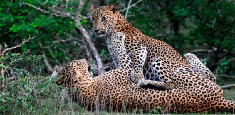 Four-Day Luxury Camping and Photography Expedition - Key Points