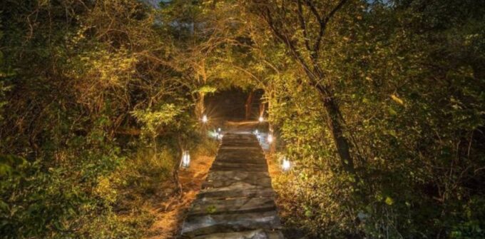Four-Day Luxury Camping and Photography Expedition - Cancellation Policy