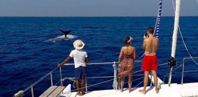 Four-Day Northern Sri Lanka Cruise - Recommended Gratuities