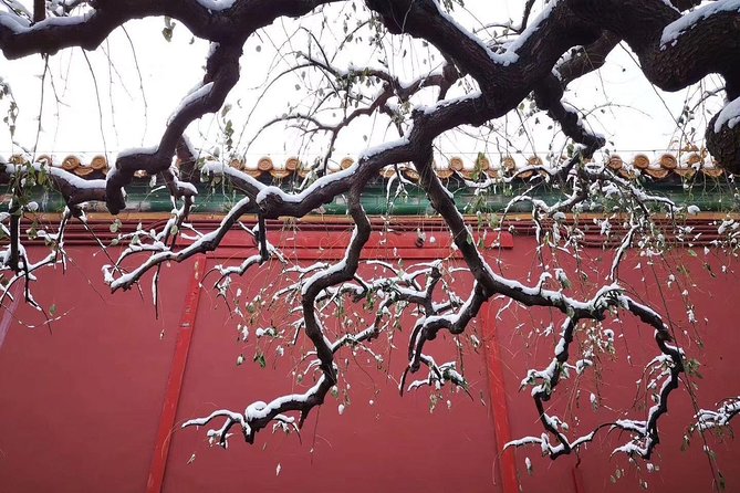 Four Days Beijing Shanghai Best Classic Quality Private Tour - Guest Reviews