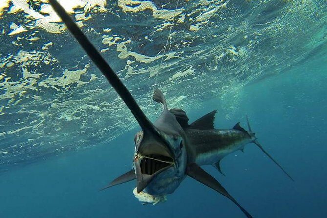 Four-Hour Fishing Tour in Dominica - An Honest Look at the Dominica Fishing Tour