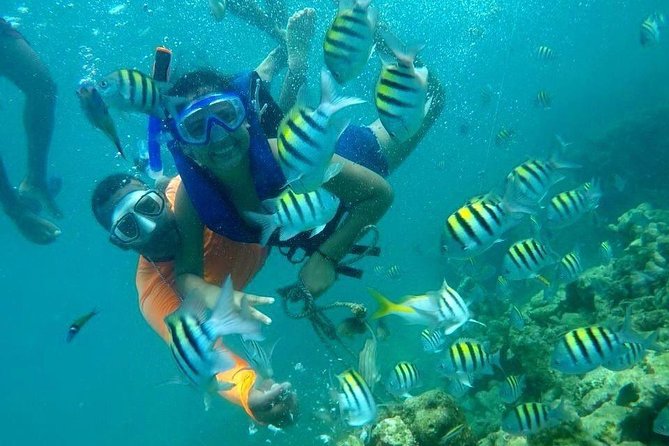 Four Islands Experience Isla Baru - Memorable Highlights