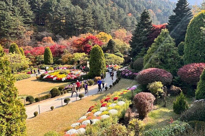Four Seasons of Nami Island With Garden of Morning Calm Tour - Pickup and Booking