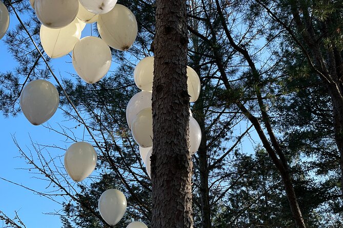 Four Seasons of Nami Island With Garden of Morning Calm Tour - Exploring Petit France