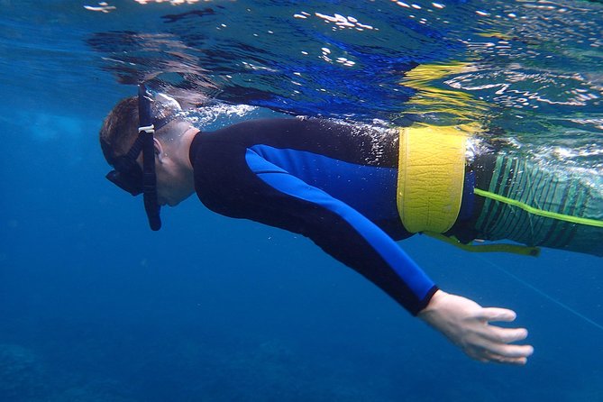 Four Winds II Molokini Snorkeling Tour From Maalaea Harbor - Catamaran Features