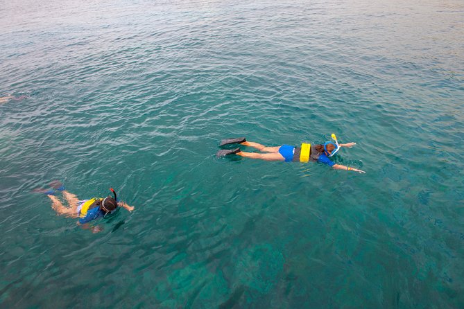 Four Winds II Molokini Snorkeling Tour From Maalaea Harbor - Customer Reviews