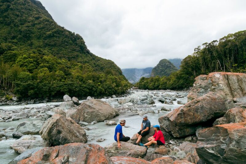 Fox Glacier: Half Day Walking & Nature Tour With Local Guide - Customer Reviews