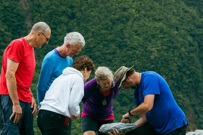 Fox Glacier Nature Tour - What to Expect